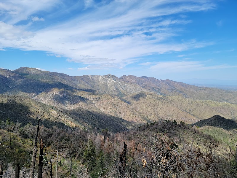 Alder Picnic Area photo 4