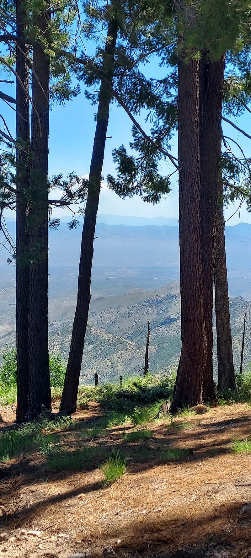 Photo of Alder Picnic Area