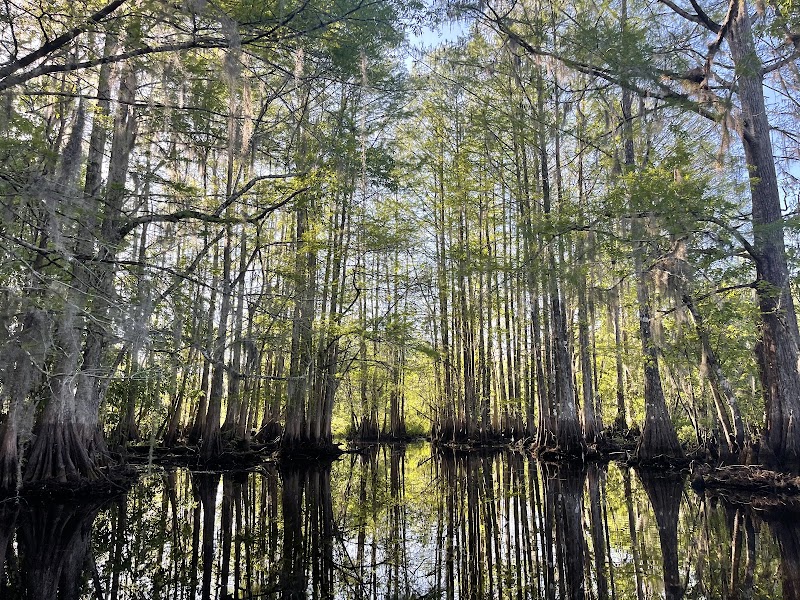 Photo of Wild Bill's Airboat Tours