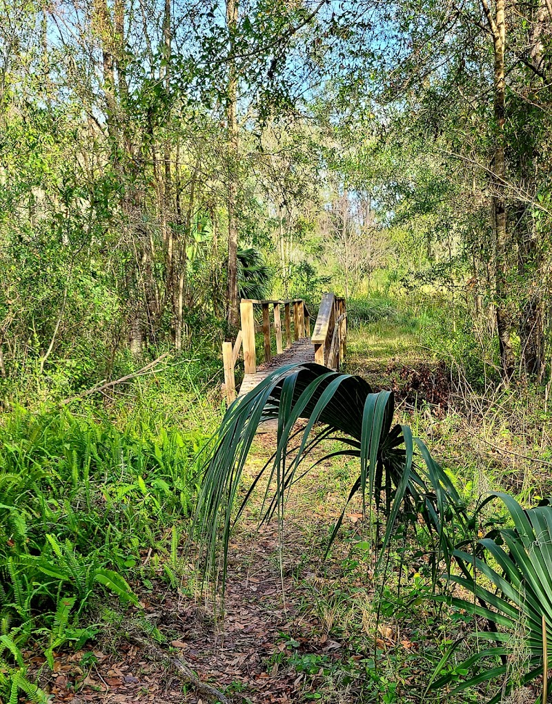 Alafia River State Park- Campground photo 5