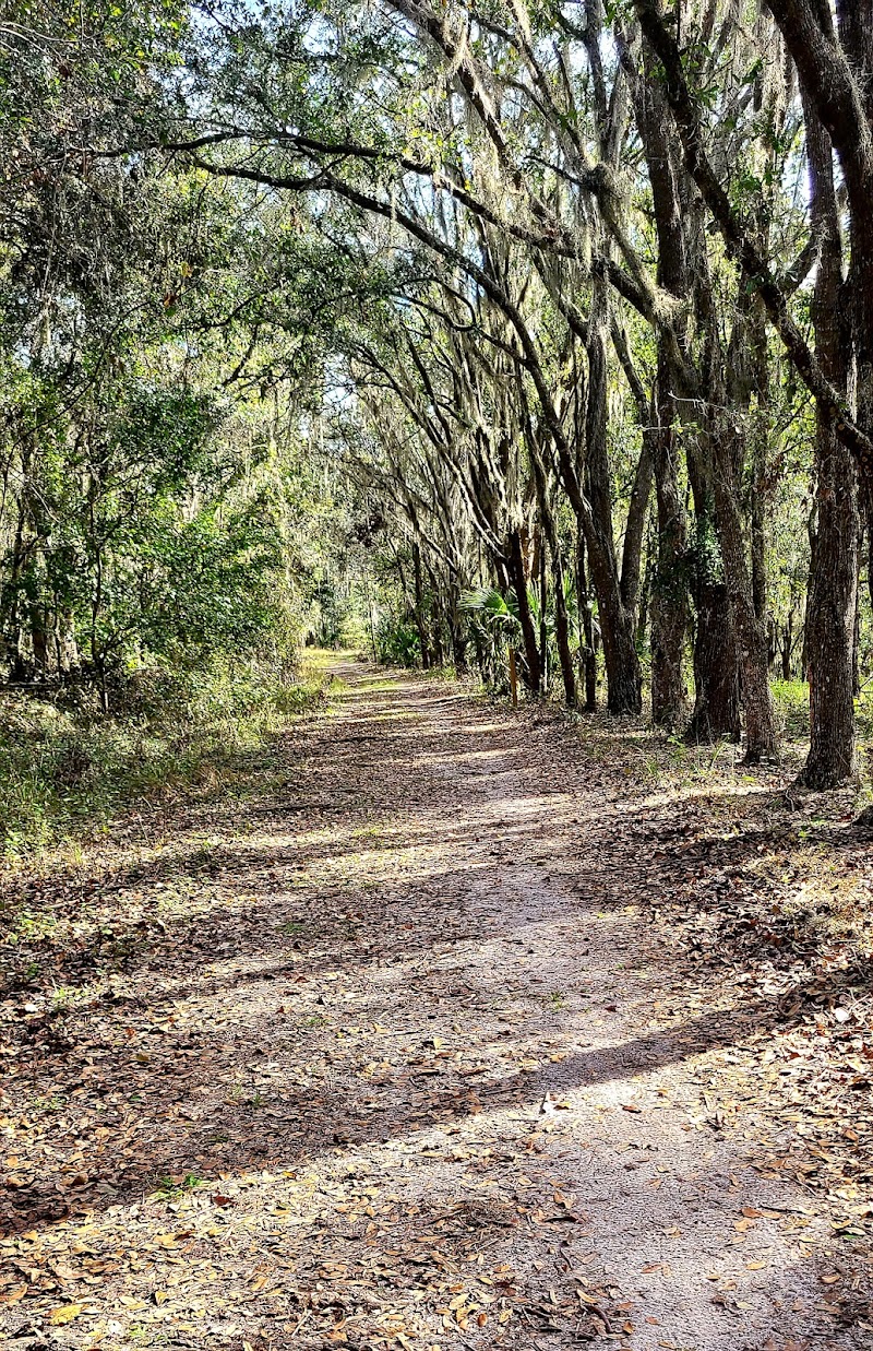 Alafia River State Park- Campground photo 3