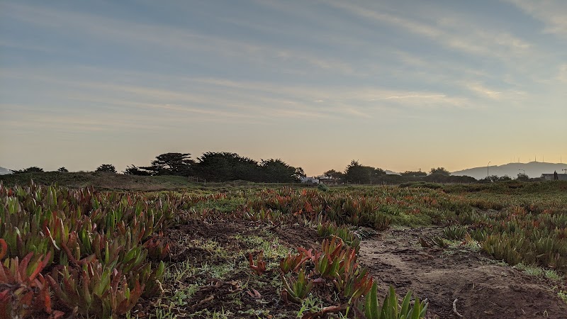 Thornton State Beach photo 5