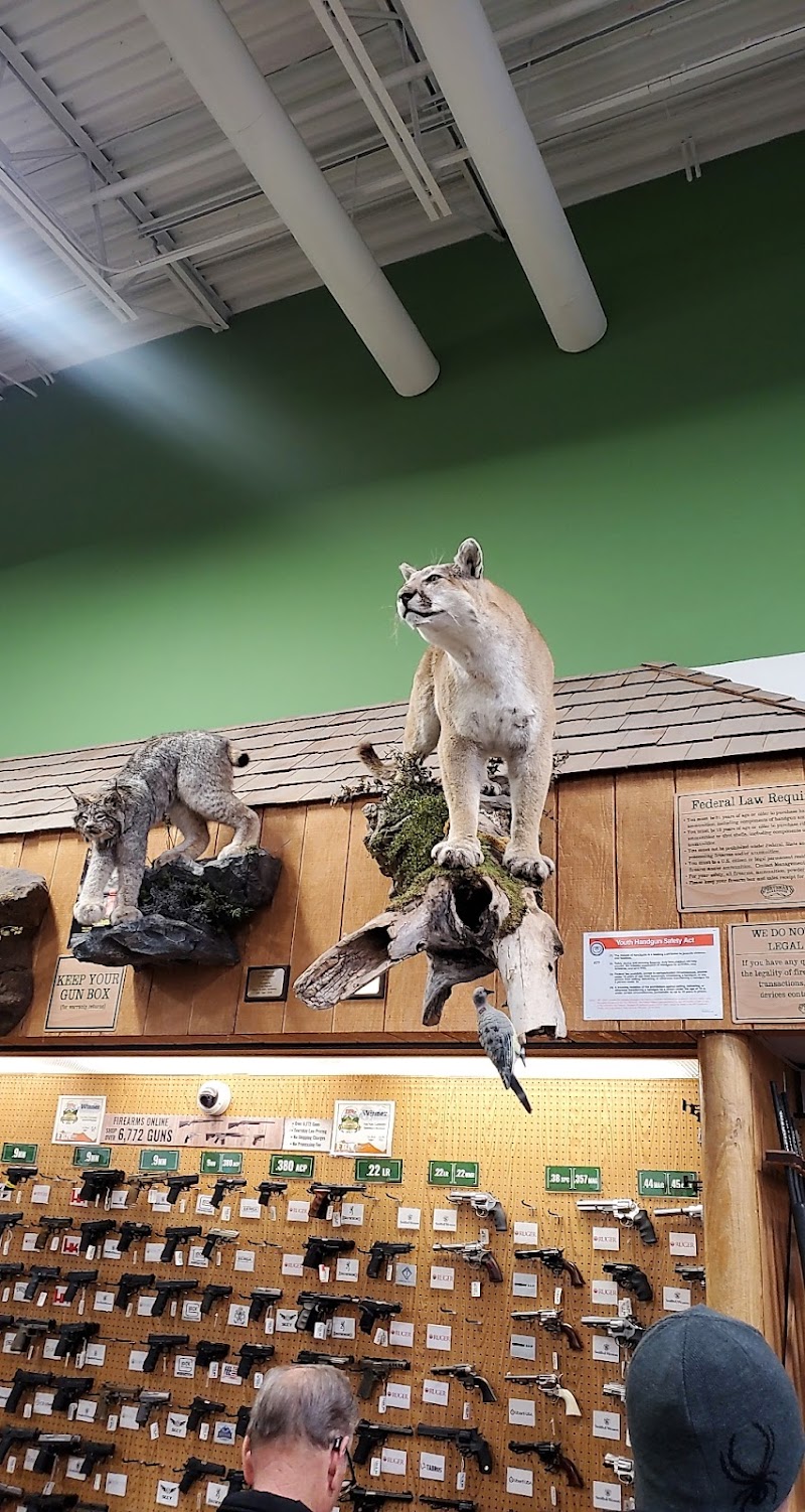 Sportsman's Warehouse photo 4