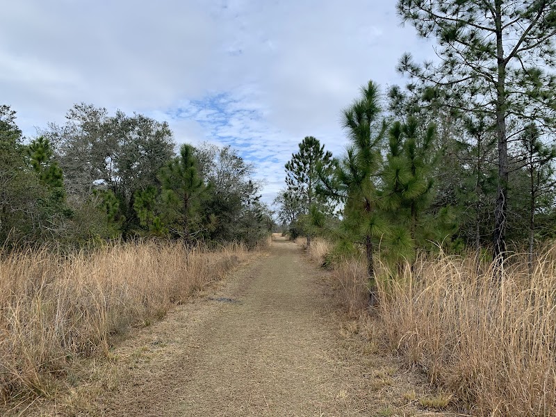 Upper Tampa Bay TrailHead- Lutz Lake photo 2