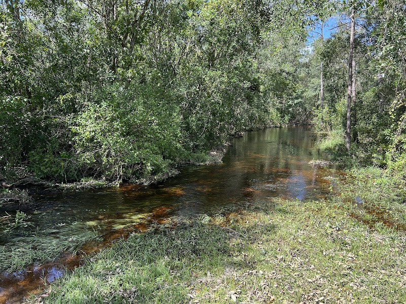 Upper Tampa Bay TrailHead- Lutz Lake photo 4
