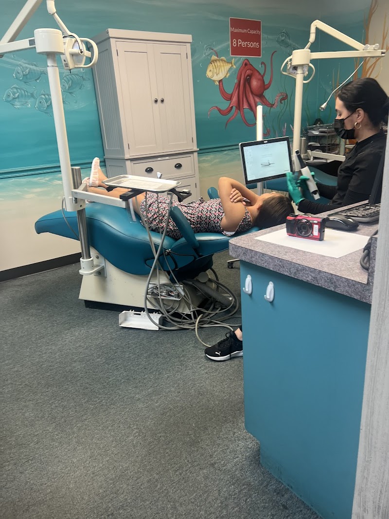 Photo of Palm Tree Orthodontics