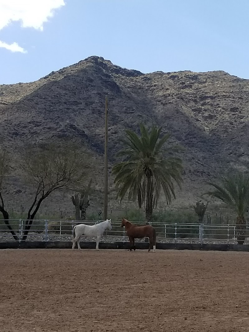 The Sanctuary at South Mountain photo 3