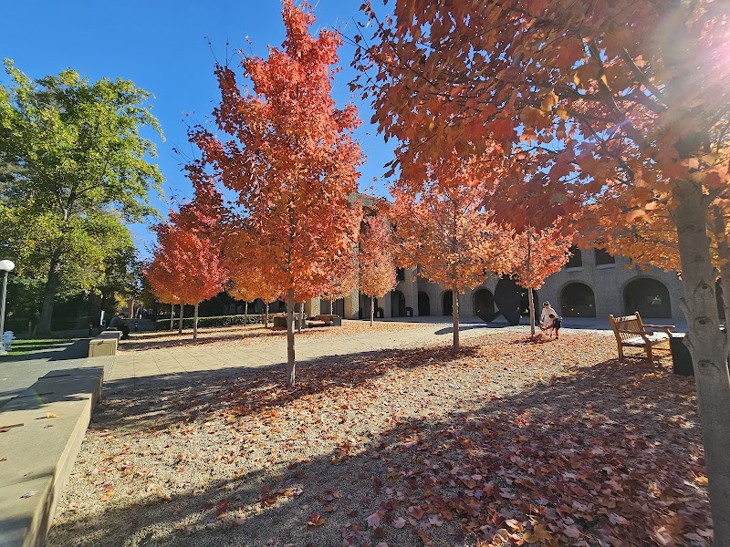 Photo of Robert Crown Law Library