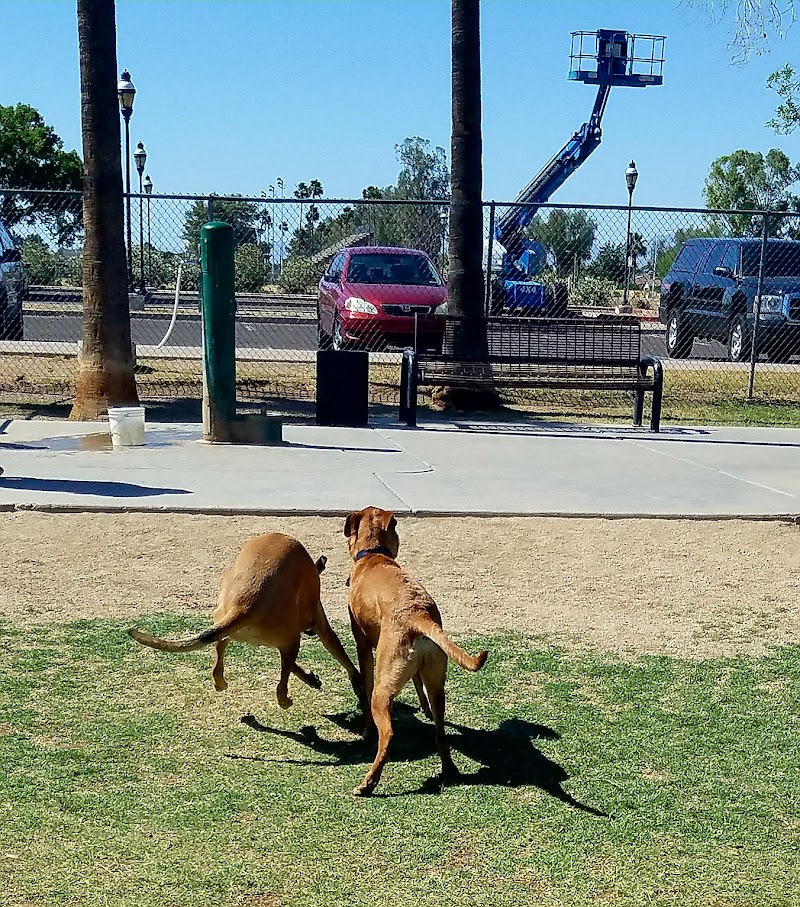 Sahuaro Ranch Dog Park photo 2