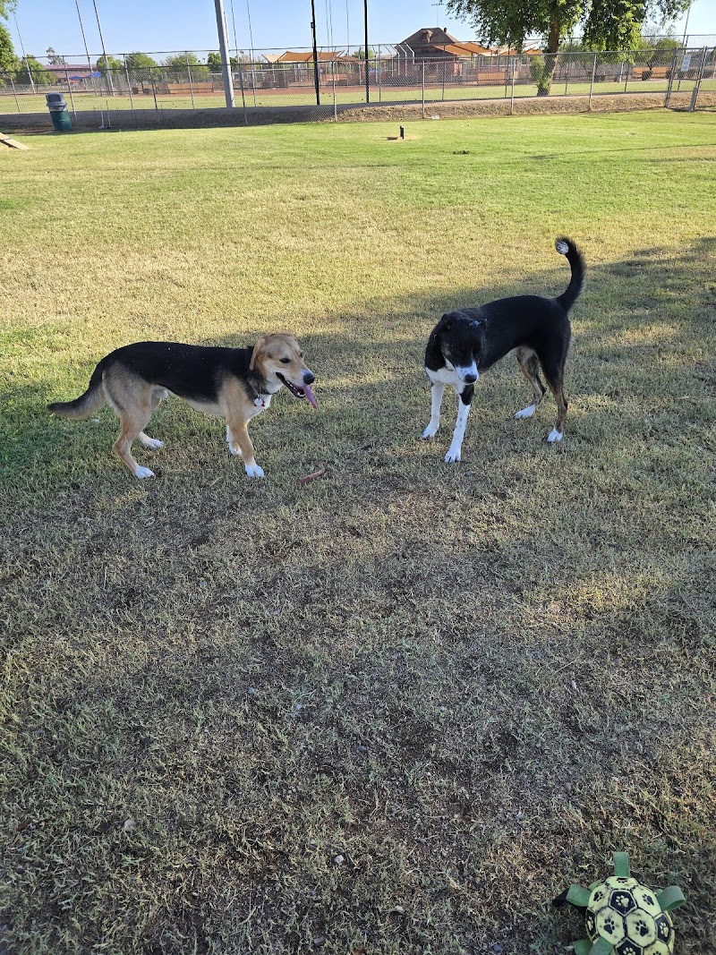 Sahuaro Ranch Dog Park photo 4