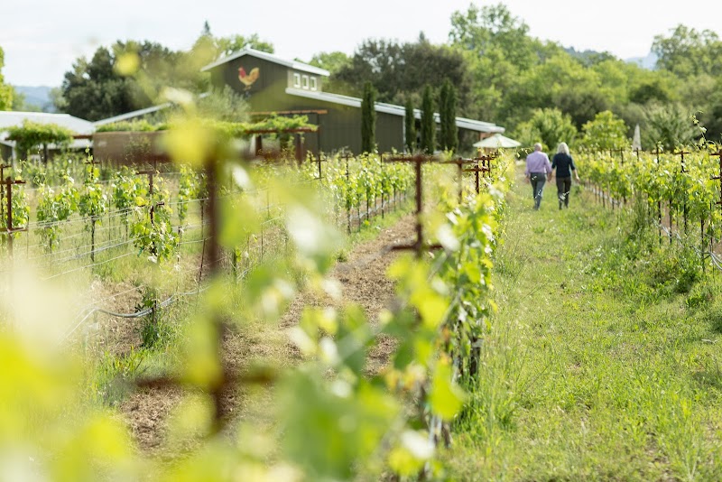 Photo of DaVero Farms & Winery