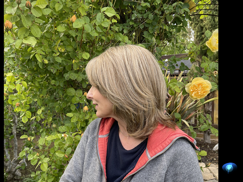 Hair loss solutions Wigs by delphine photo 2