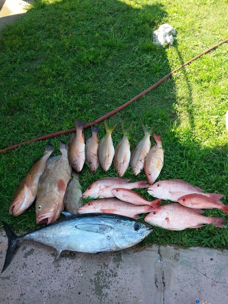 J & J Bait and Tackle Outfitters II photo 3