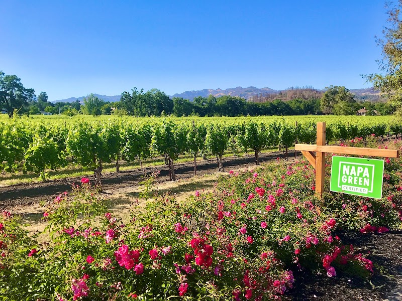 Ballentine Vineyards photo 4