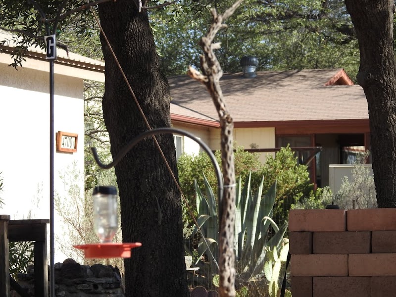 Photo of Battiste's Bed, Breakfast and Birds