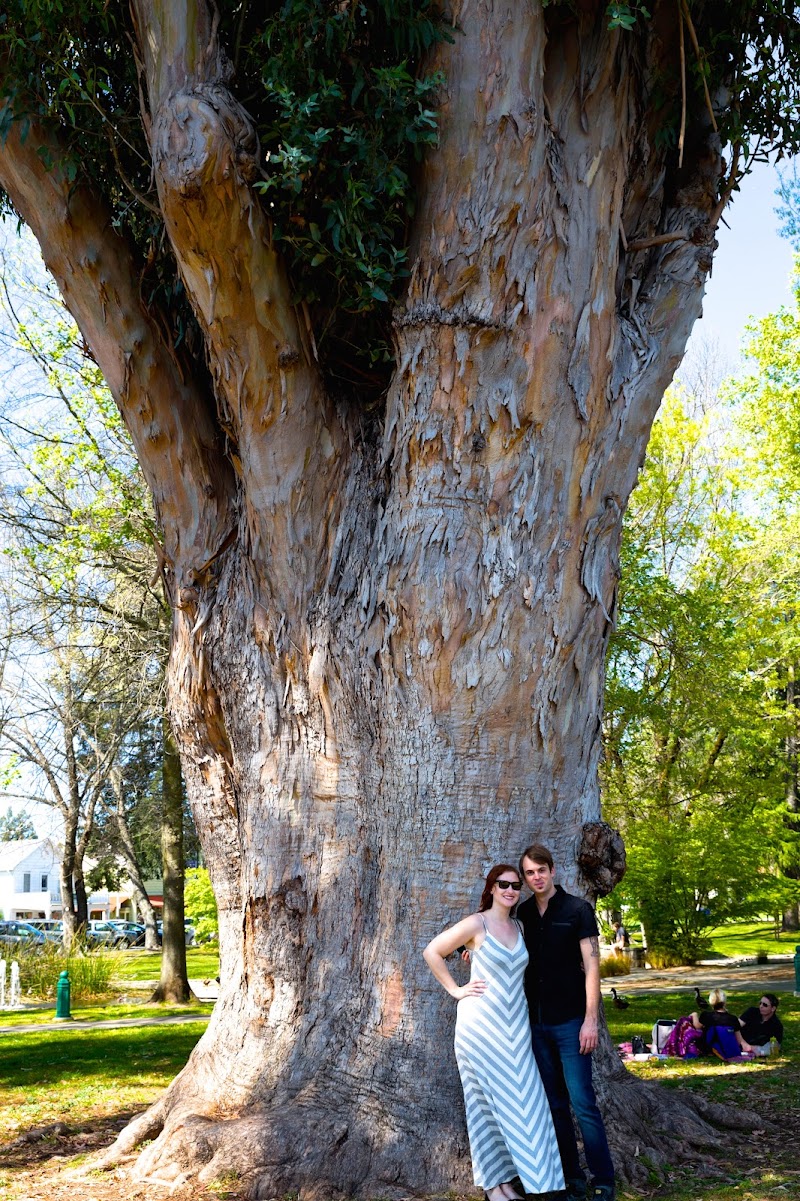 Sonoma Food and Wine Tour photo 3