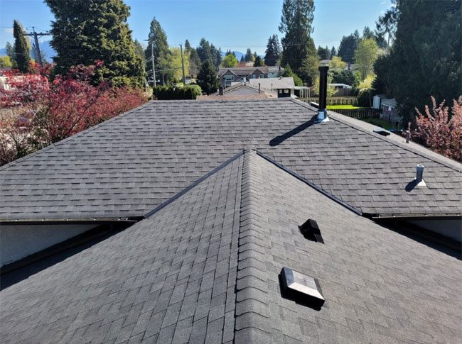Alliance Roofing Company, Inc. photo 2