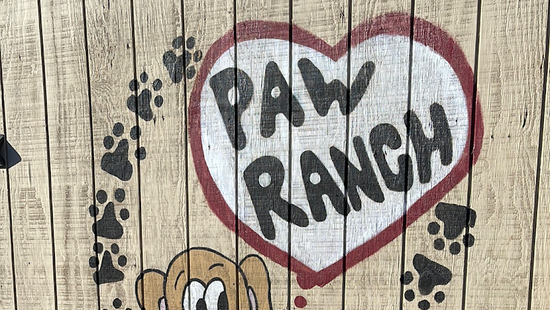 Photo of Paw Ranch AZ