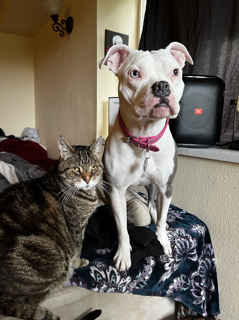 Photo of Hercules Pet Hospital