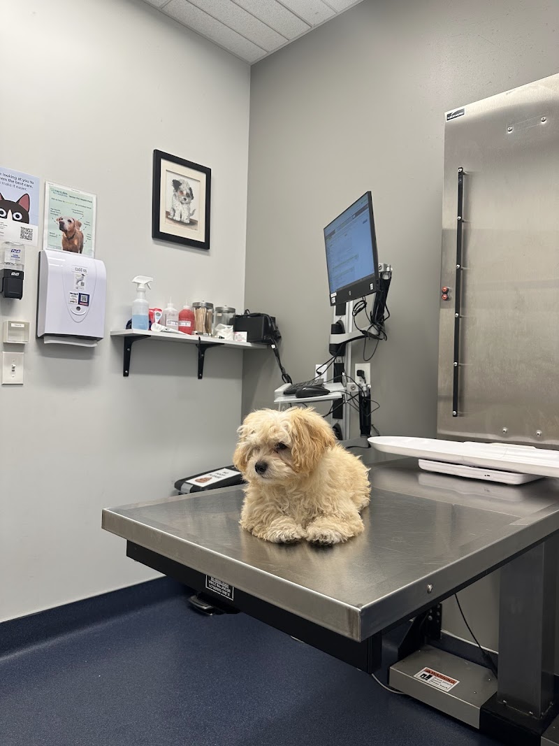 Hercules Pet Hospital photo 4