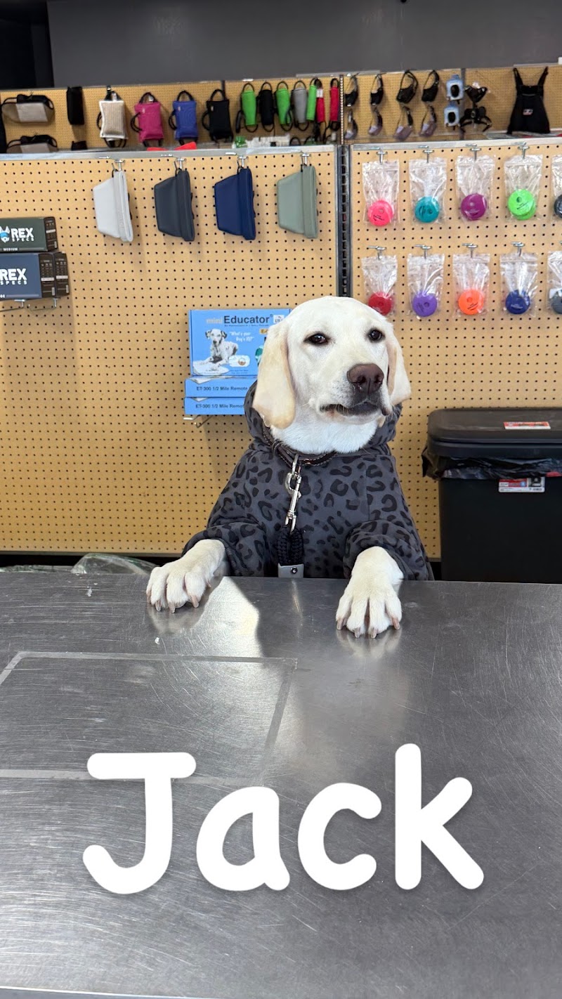 Belt Fed Kennel Supply photo 3