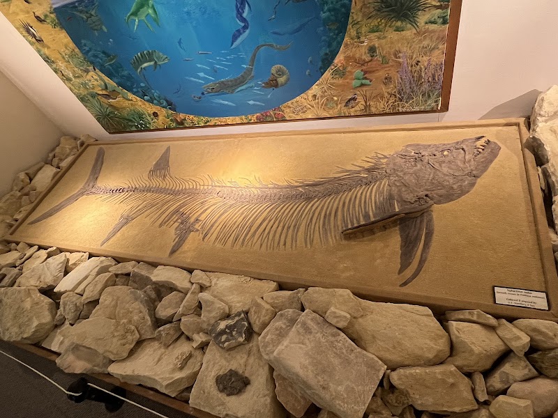 Fick Fossil & History Museum photo 3