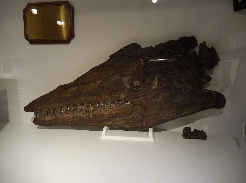 Photo of Fick Fossil & History Museum