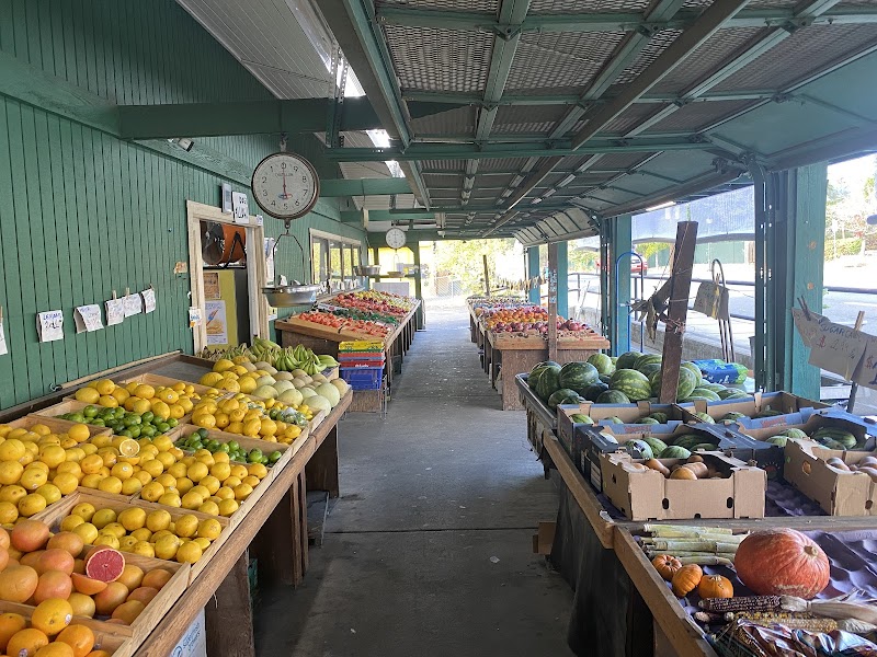 Sonoma Valley Fruit Basket photo 5