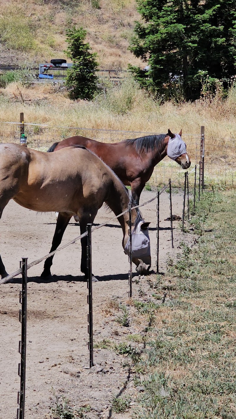 Bridle Up Hope San José photo 3
