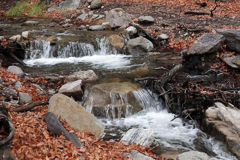 Photo of Ramsey Canyon Preserve