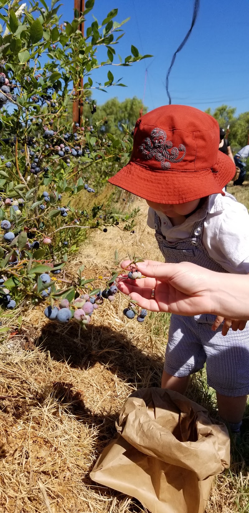 Duckworth Family Farm photo 5