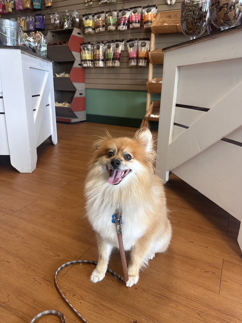 Earthwise Pet Nutrition Center & Wellness Spa - GROOMBAR photo 3