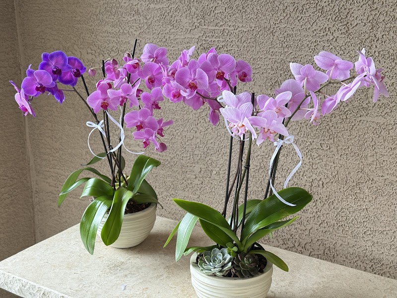 The Floristry photo 2