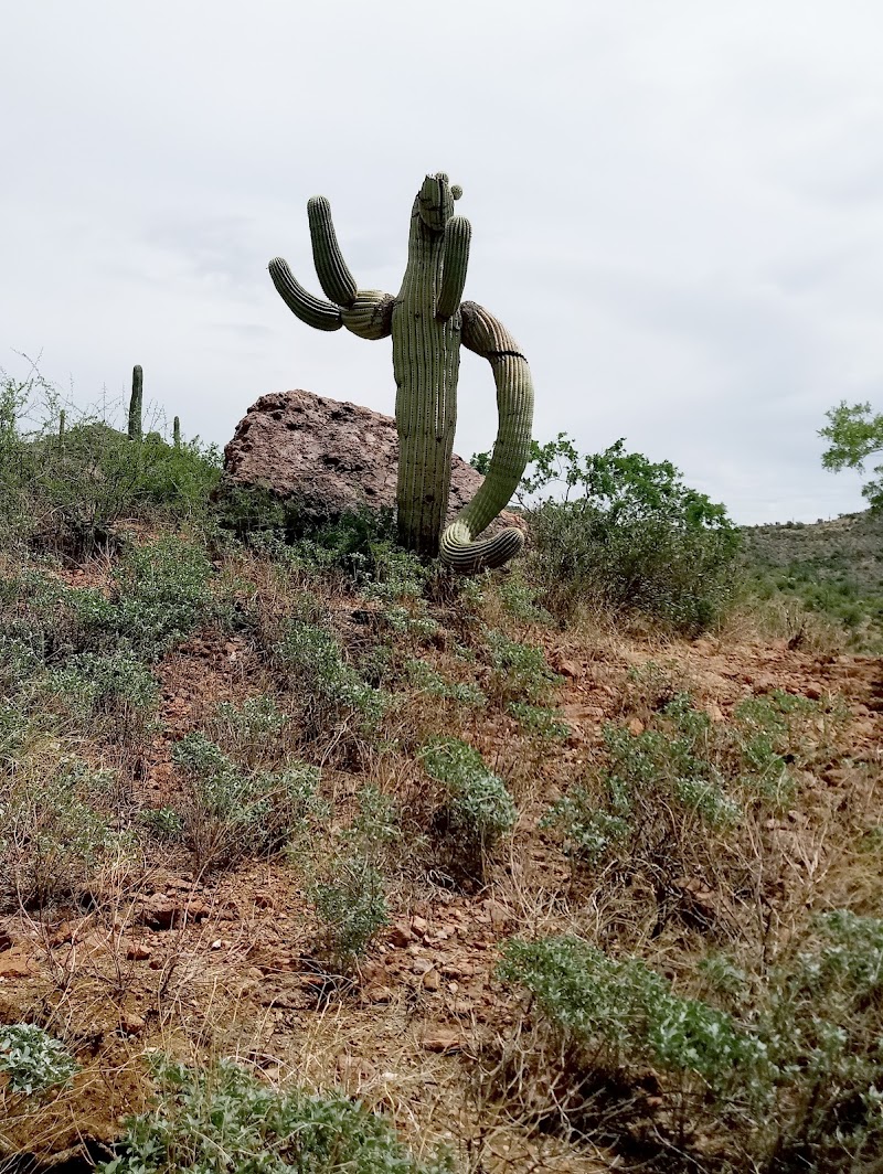 Photo of Don's Camp