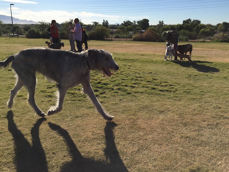 Paseo Vista Recreation Area Bark Park photo 4