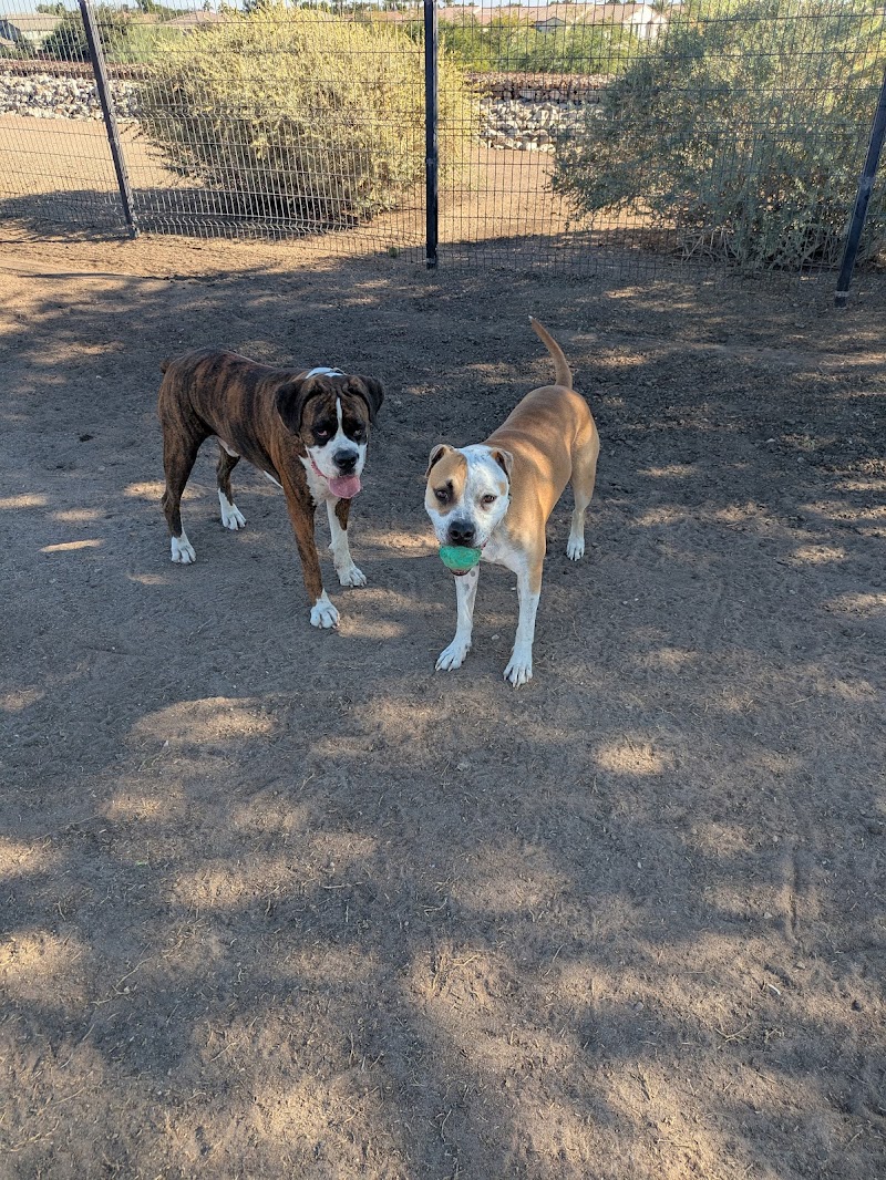 Paseo Vista Recreation Area Bark Park photo 3