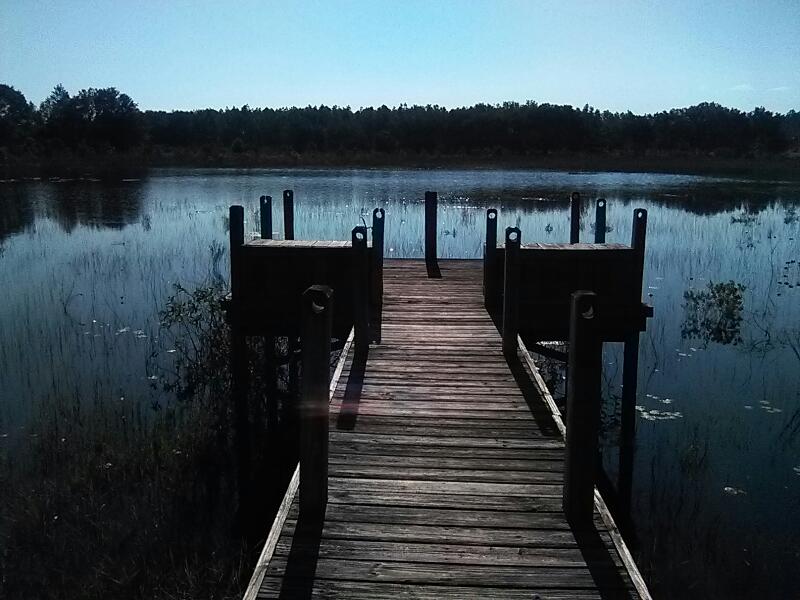 Angelina Lakeside Inn photo 3