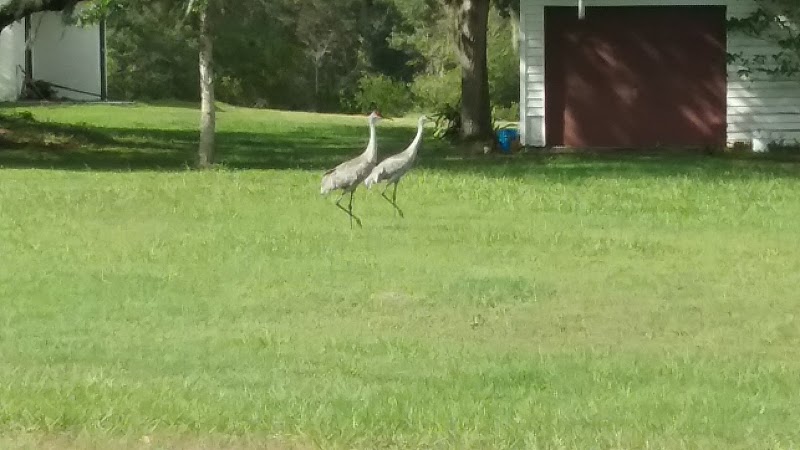 Angelina Lakeside Inn photo 5