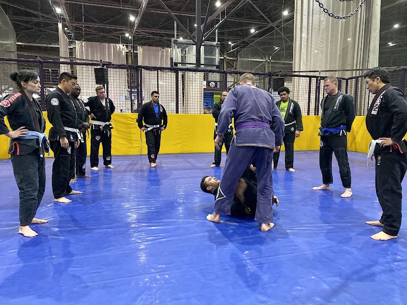 Rio Combat Team photo 2