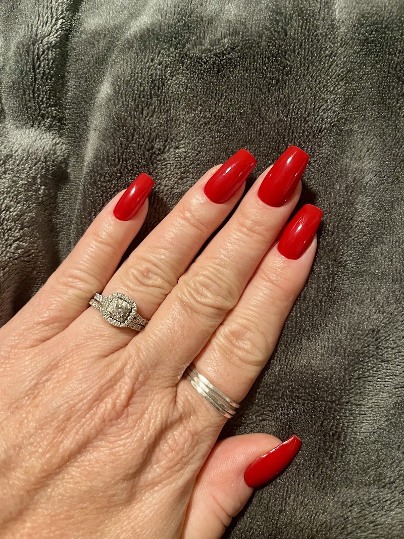 Aninails photo 4