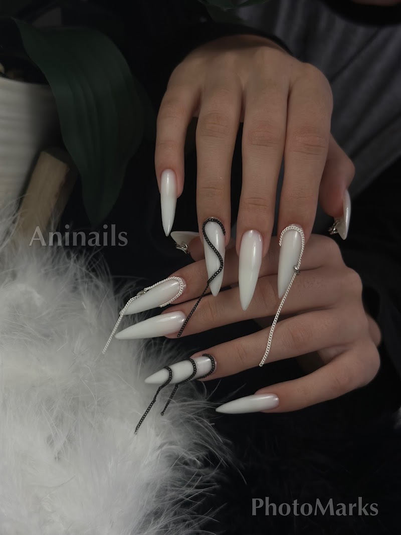 Photo of Aninails