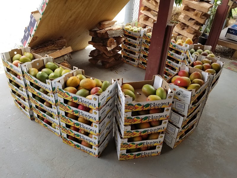 Corner Market photo 5