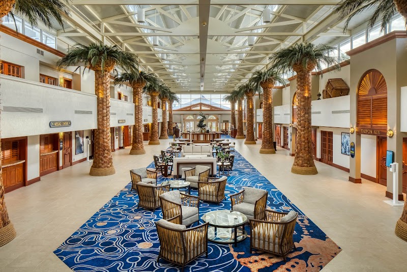 Island Grand at TradeWinds photo 5