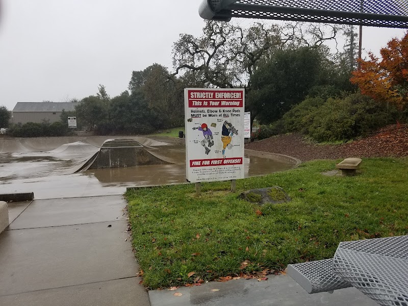 Carson Warner Memorial Skatepark photo 4