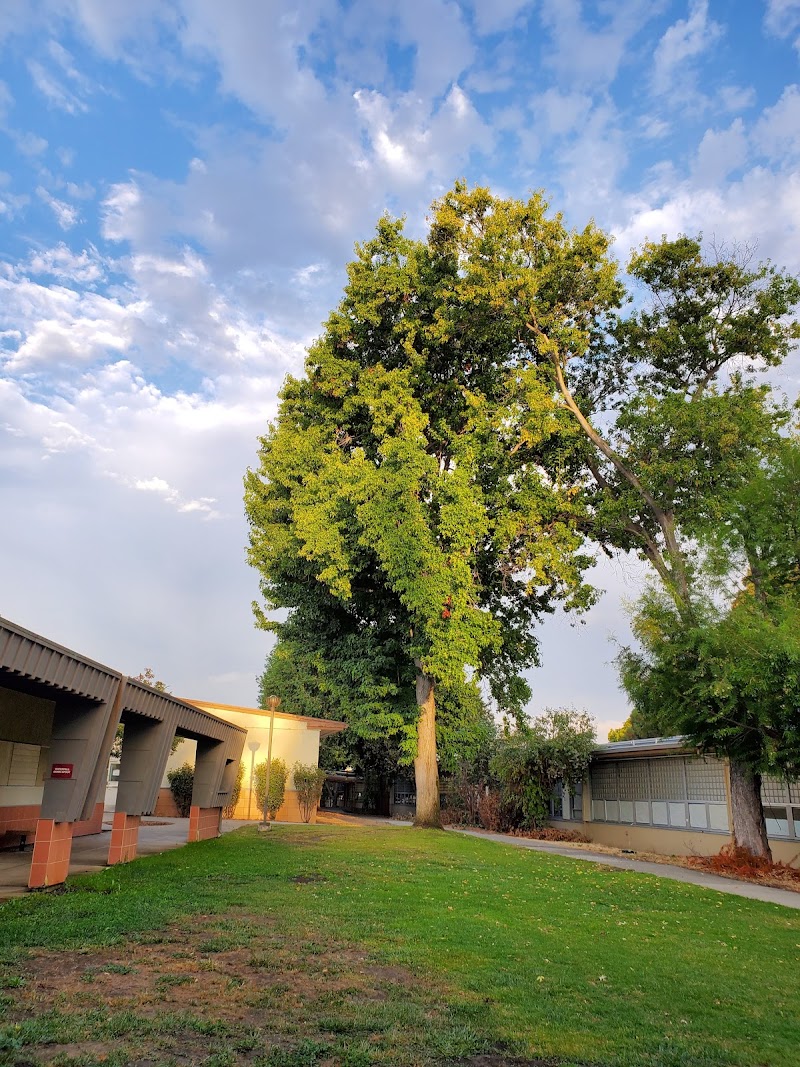 San Lorenzo High School photo 5