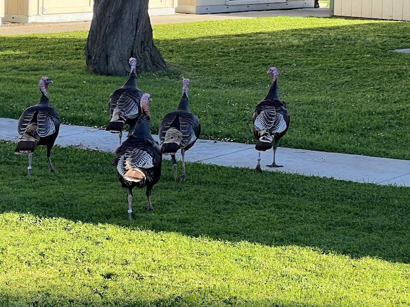Davis Cemetery District & Arboretum photo 4