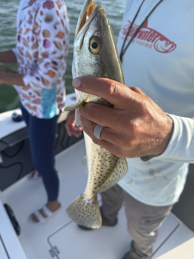 Clearwater Inshore Fishing Charters photo 5