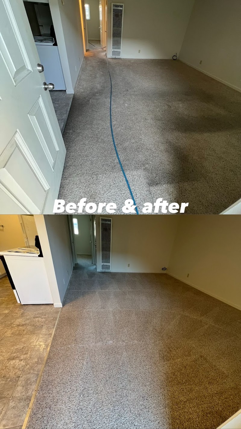 JJ & CC Carpet and More Cleaning photo 3