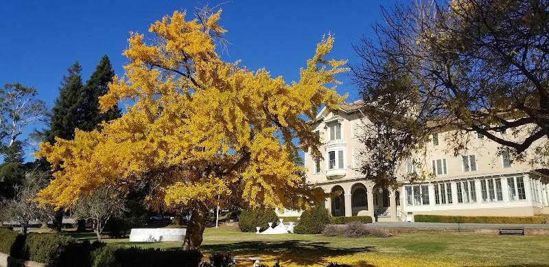 Photo of Sisters of Notre Dame De Namur