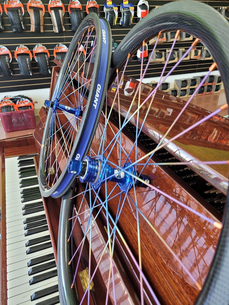 Sun & Spokes Bicycle/Running Shop | Sierra Vista, AZ photo 5